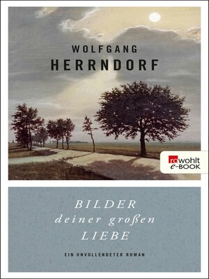 cover image of Bilder deiner großen Liebe